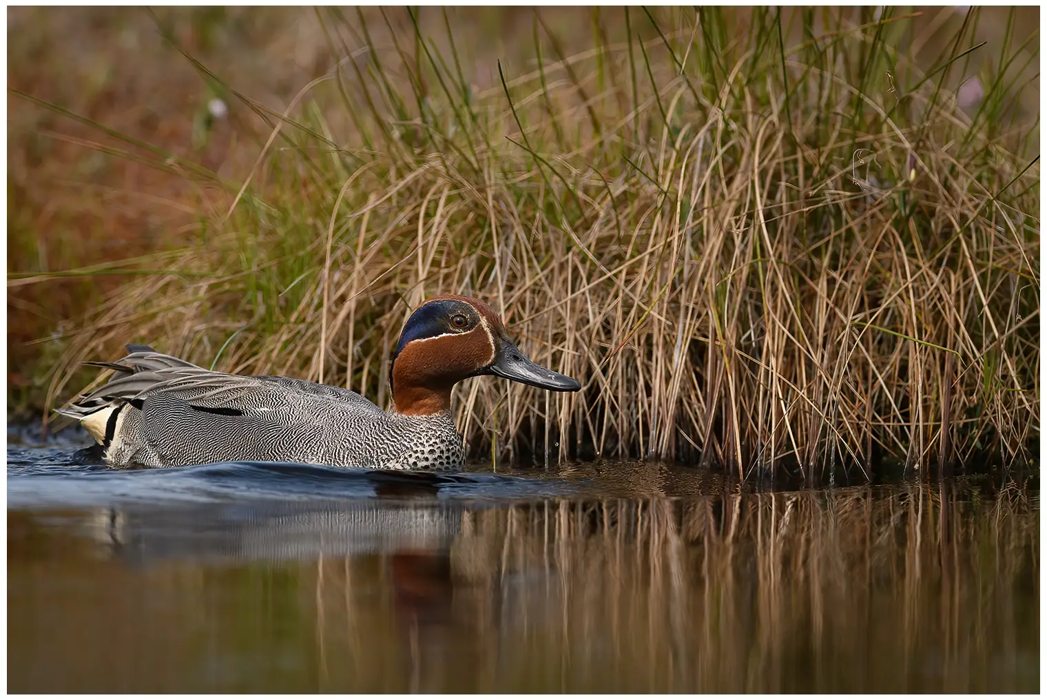 Wintertaling