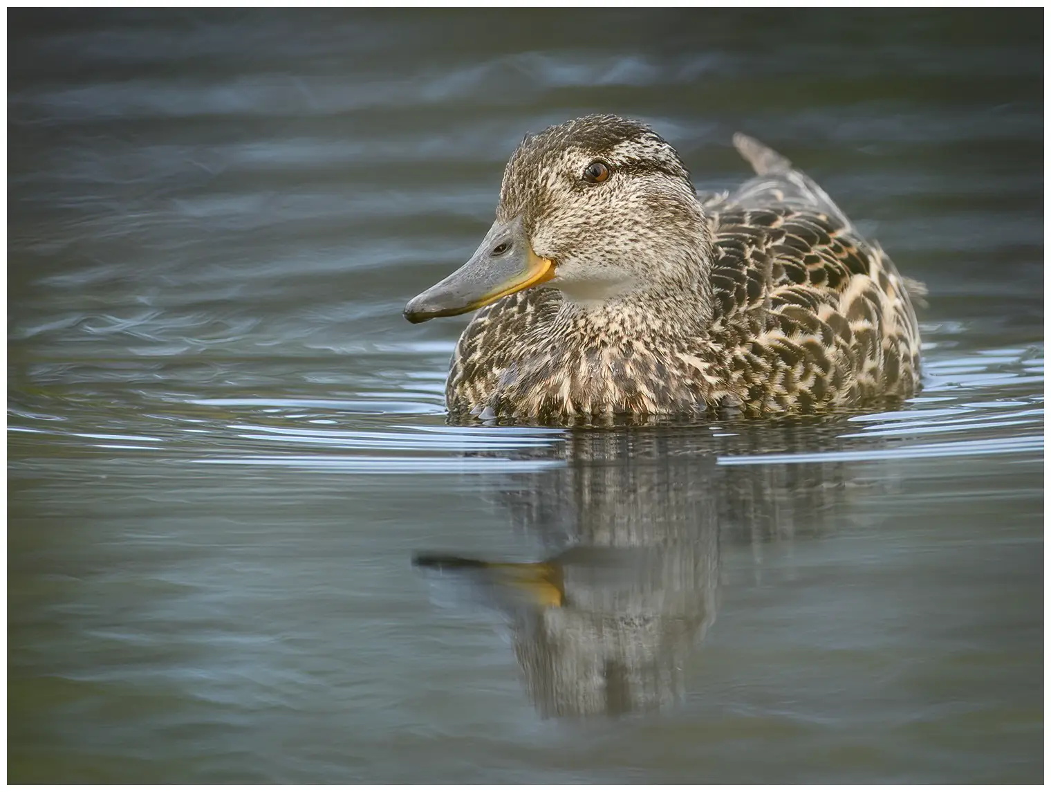Wintertaling