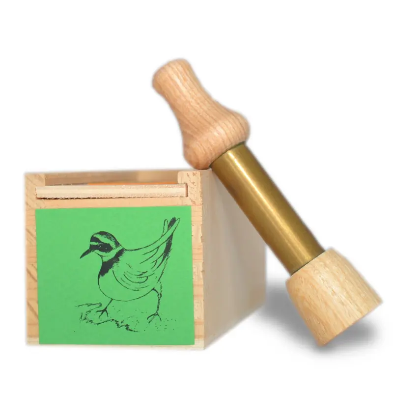 Kleine Plevier (fluitje)