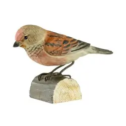 Kneu (hout)
