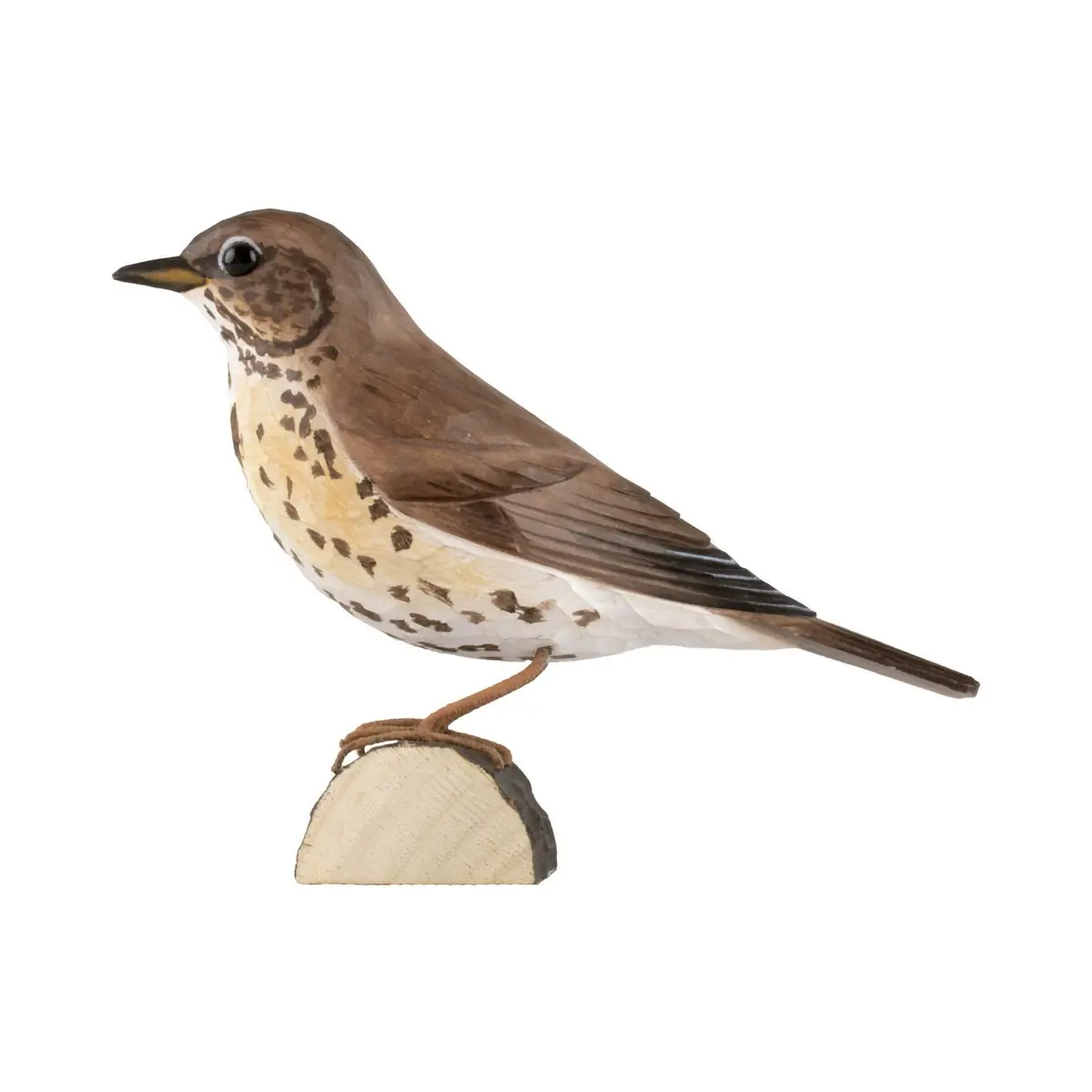 Zanglijster (hout)