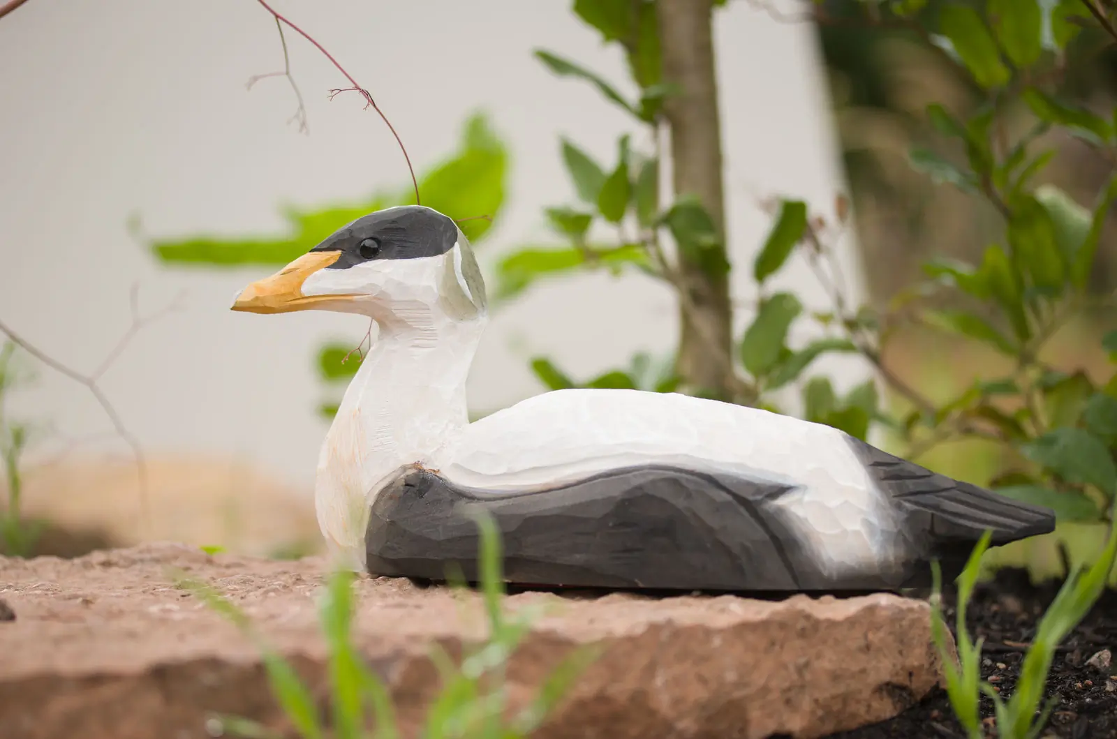 Eider (hout)