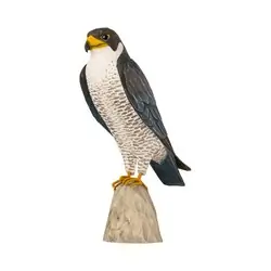Slechtvalk (hout)
