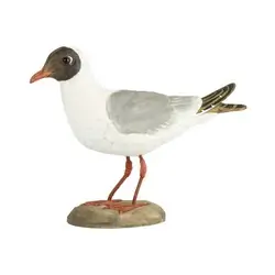 Kokmeeuw (hout)