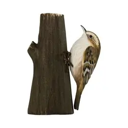 Taigaboomkruiper (hout)