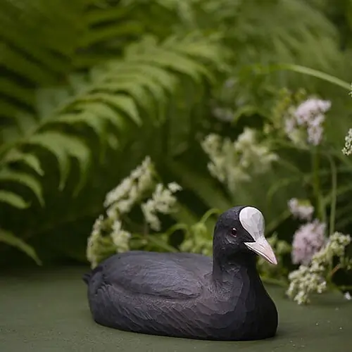Meerkoet (hout)