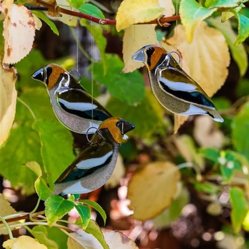 Appelvink (glas)
