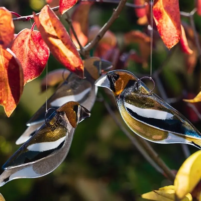 Appelvink (glas)