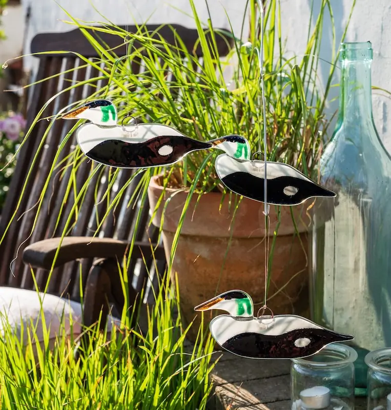 Eider (glas)