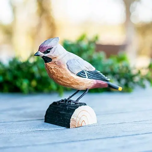 Pestvogel (hout)