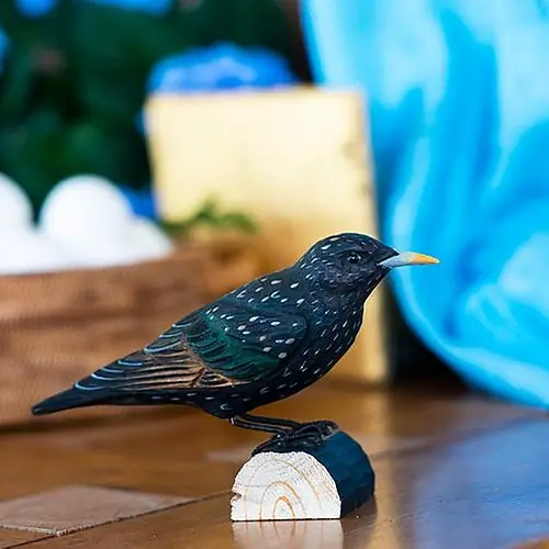 Spreeuw (hout)