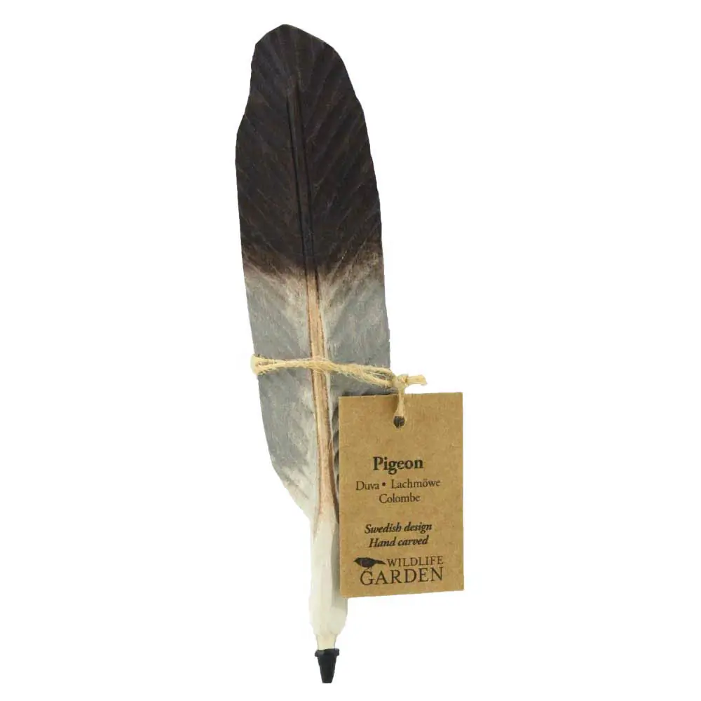 Pen (duif)