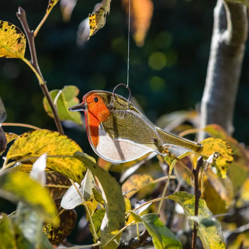Roodborst (glas)