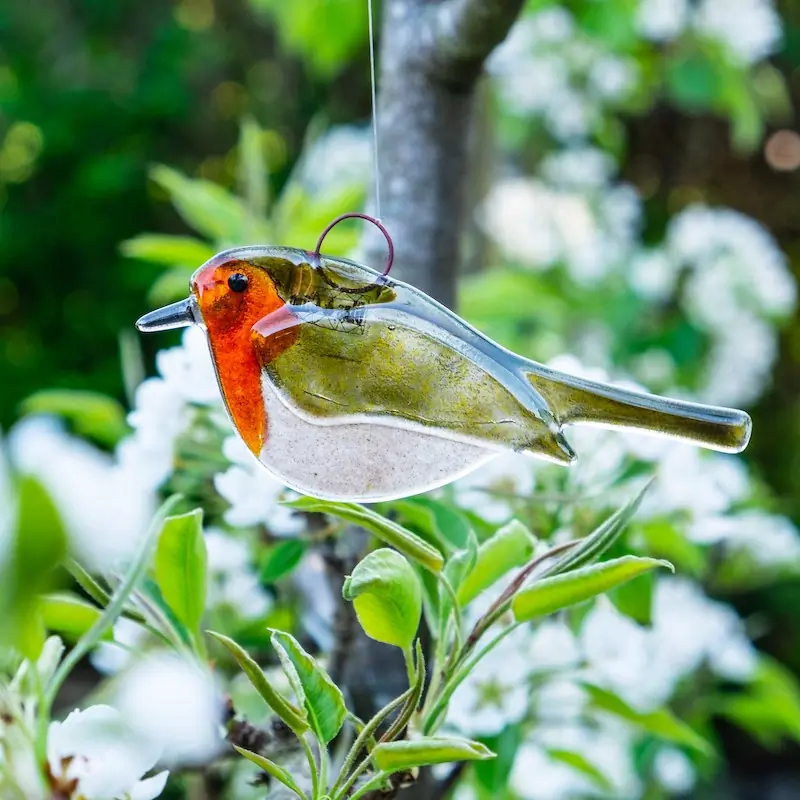 Roodborst (glas)