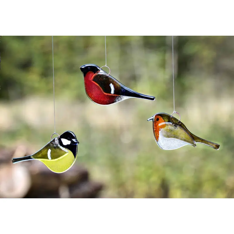 Roodborst (glas)