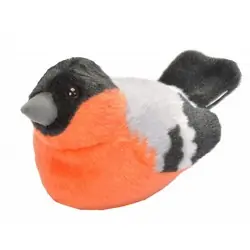 Goudvink (met geluid)
