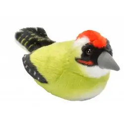 Groene Specht (met geluid)