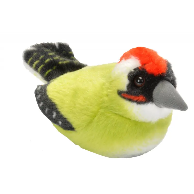 Groene Specht (met geluid)