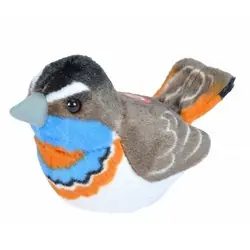 Blauwborst (met geluid)