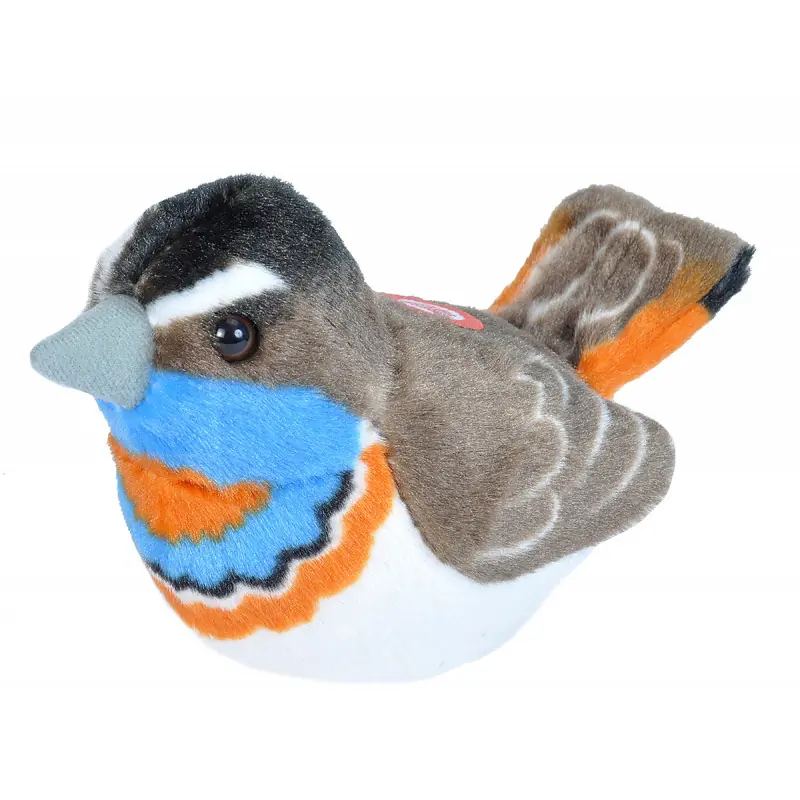 Blauwborst (met geluid)