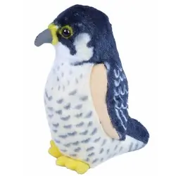 Slechtvalk (met geluid)