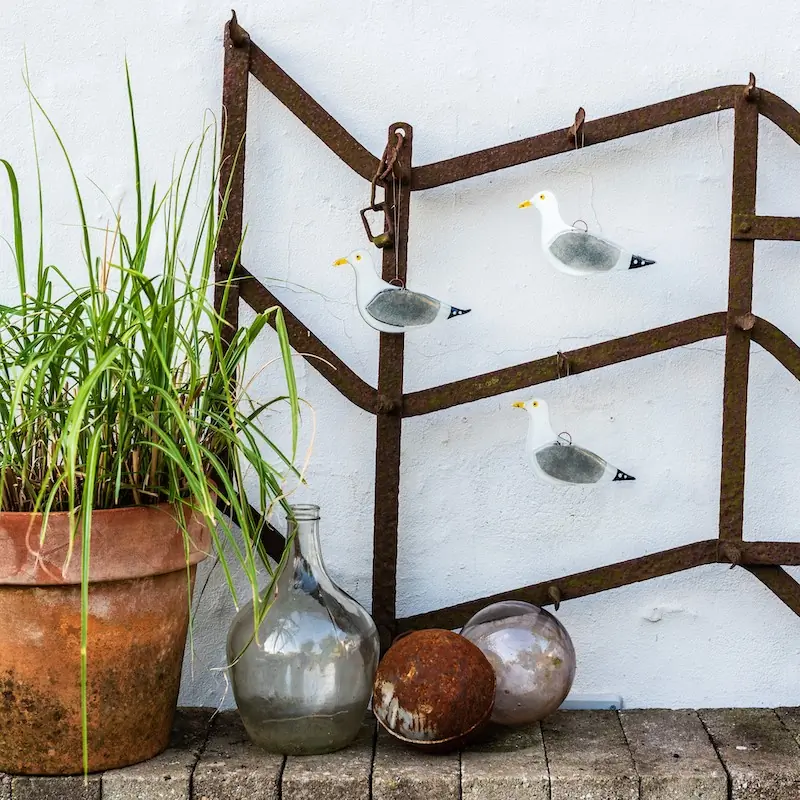 Zilvermeeuw (glas)