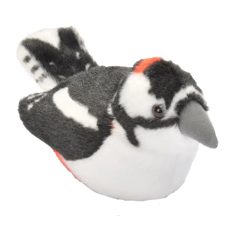 Grote Bonte Specht (met geluid)